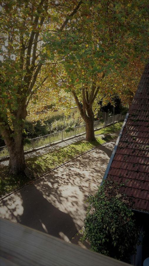 Haus Mit Seele Im Nahetal Weinsheim  Dış mekan fotoğraf
