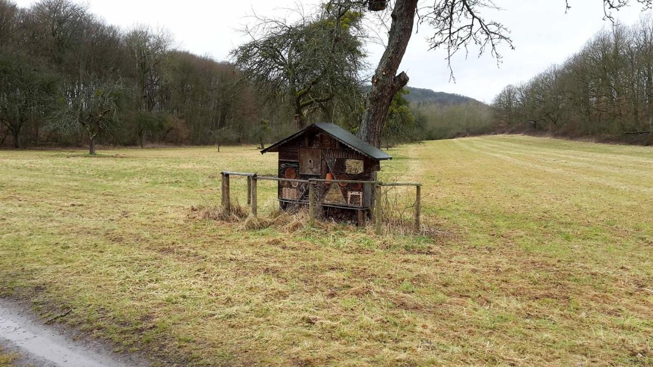 Haus Mit Seele Im Nahetal Weinsheim  Dış mekan fotoğraf
