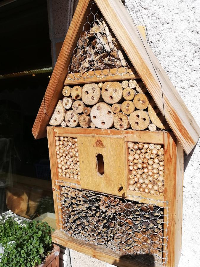 Haus Mit Seele Im Nahetal Weinsheim  Dış mekan fotoğraf