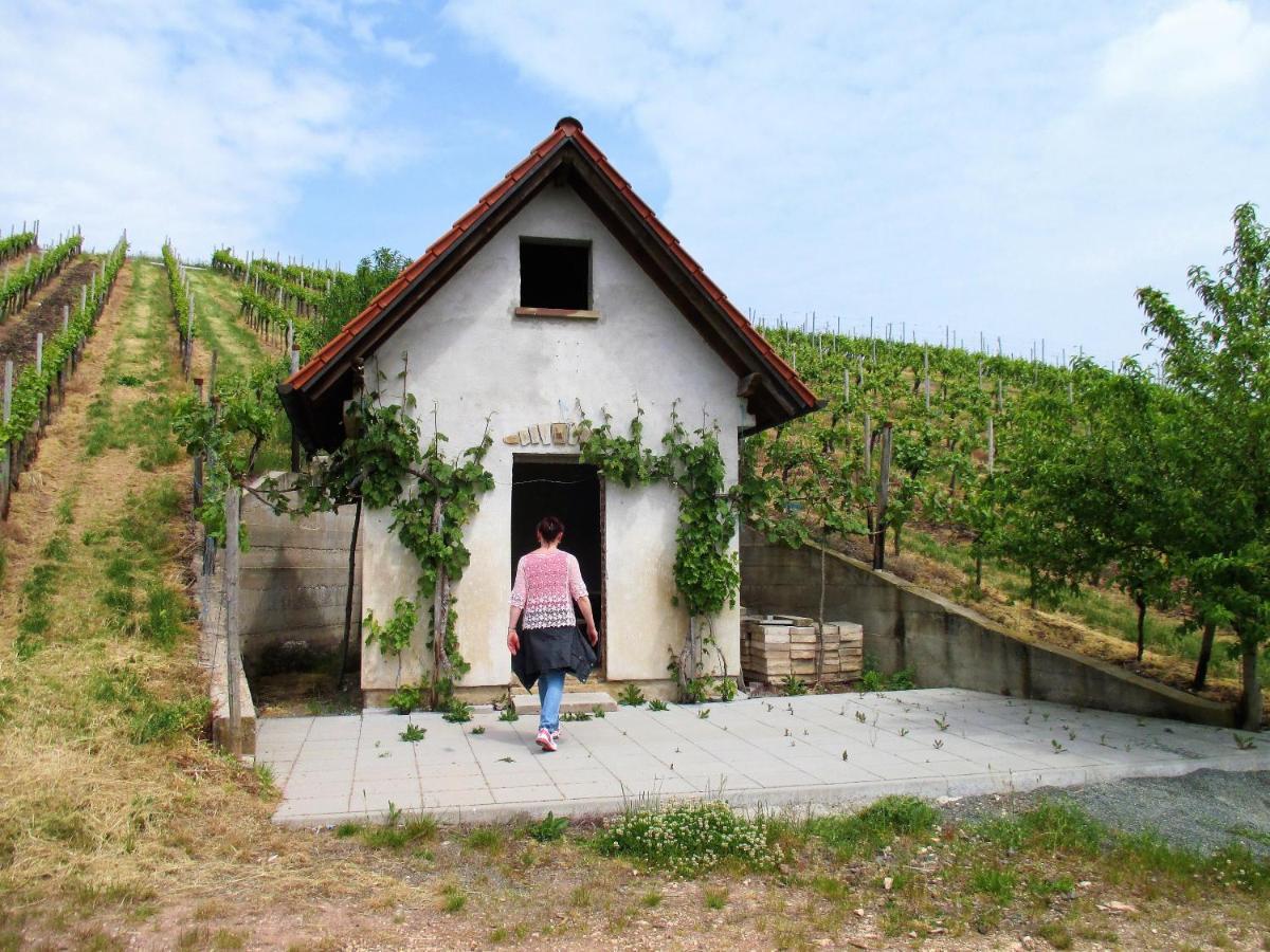 Haus Mit Seele Im Nahetal Weinsheim  Dış mekan fotoğraf