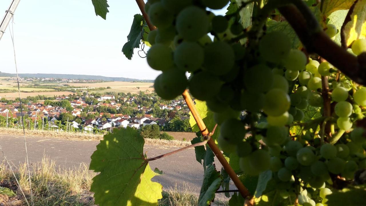 Haus Mit Seele Im Nahetal Weinsheim  Dış mekan fotoğraf